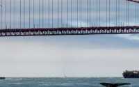 gallery_San_Francisco_Bay_UC_Berkeley_5