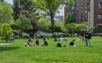gallery_Bernard_college_univeristy_NY_6